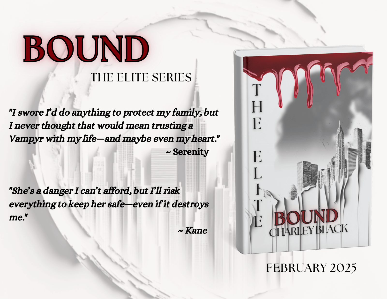 Bound - Book Tour and Giveaway • Silver Dagger Book Tours