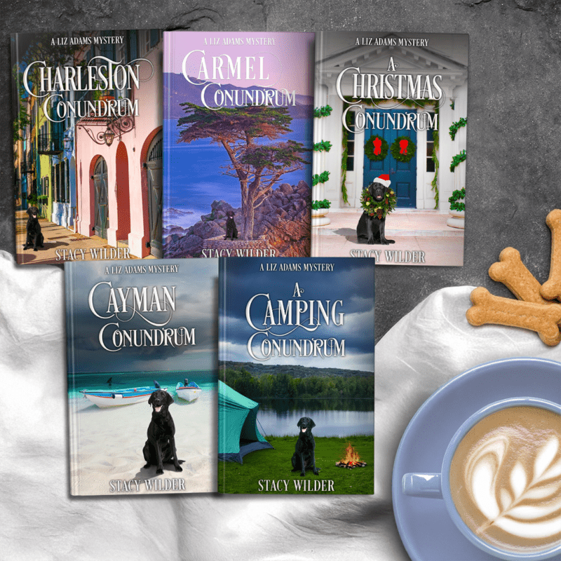 0 liz adams mystery series teaser 5 - stacy wilder