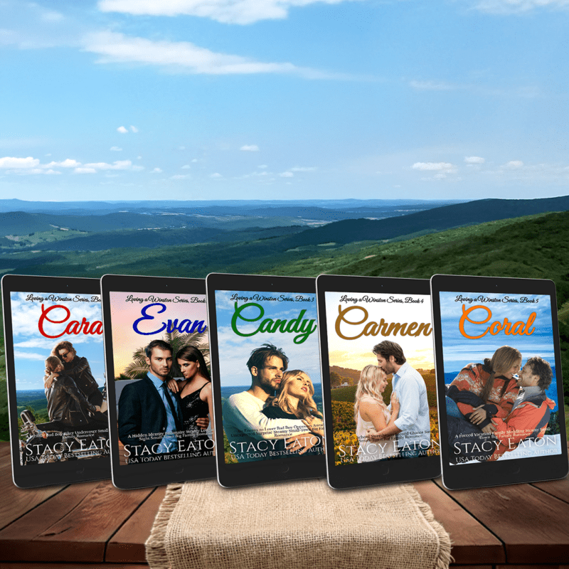 0 loving a winston series teaser 1 - stacy eaton