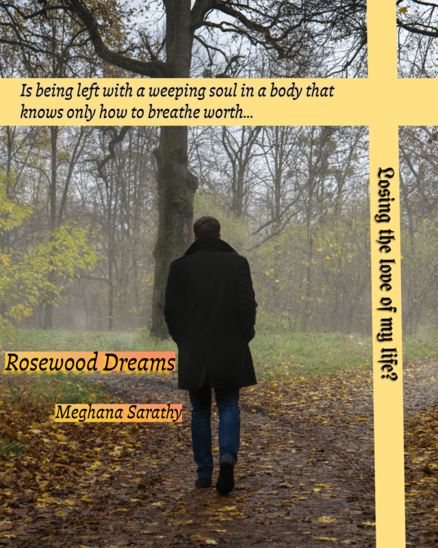 2 rosewood dreams teaser 3