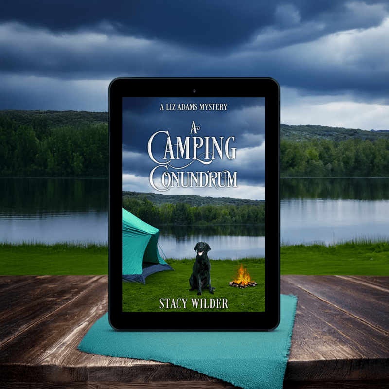 a camping condundrum - teaser 1 - stacy wilder