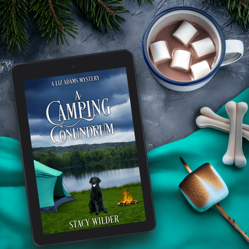 a camping condundrum - teaser 2 - stacy wilder