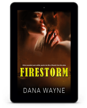 1- firestorm - dana wayne - ebook