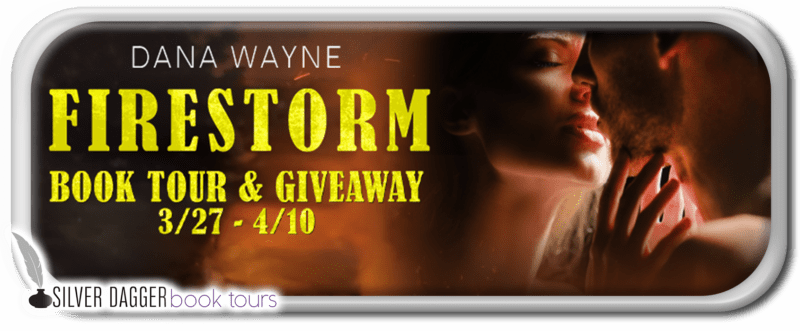banner - firestorm - dana wayne