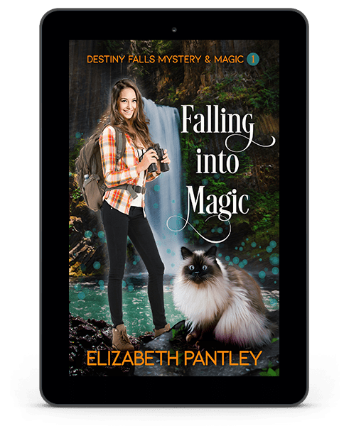 Book Cover: Falling into Magic