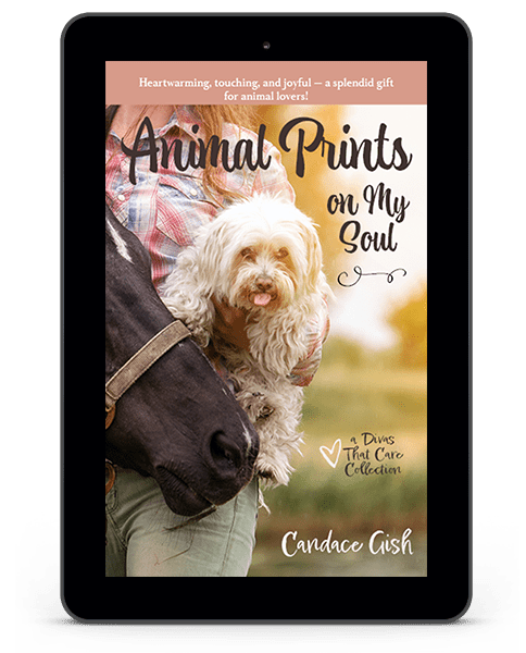 Animal Prints on My Soul