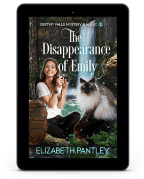 Book Cover: The Disappearance of Emily