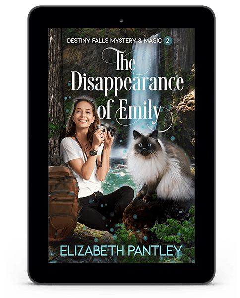 Book Cover: The Disappearance of Emily