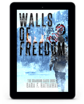 3- walls of freedom - changing earth - sara fa hathaway