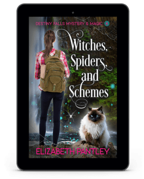 Book Cover: Witches, Spiders, and Schemes