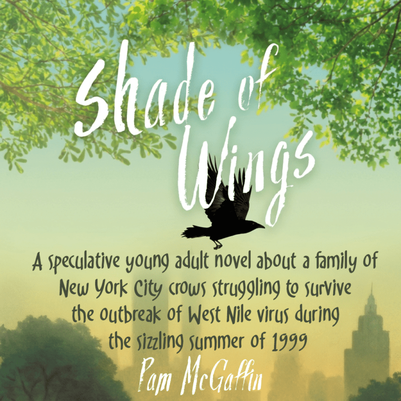 shade of wings - pam mcgaffin - teaser 2