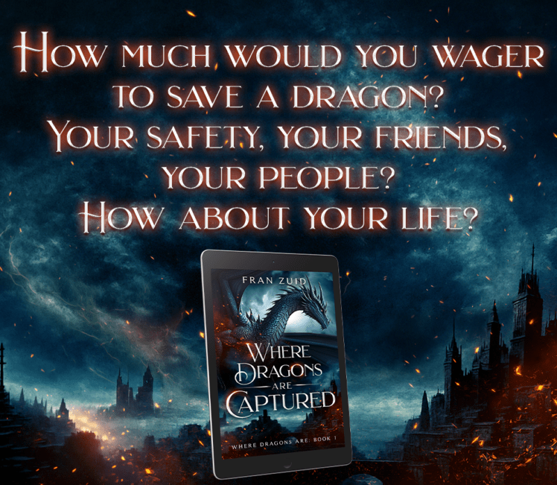 1 - where dragons are captured - fran zuid - teaser 1