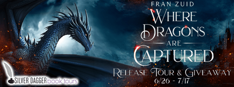 banner - where dragons are captured