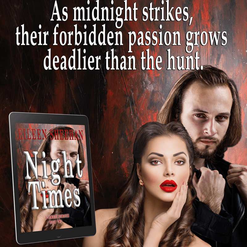 2 night times book 2 - eileen sheehan - teaser 2