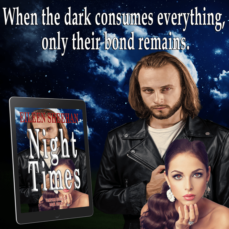 3 night times book 3 - eileen sheehan - teaser 1