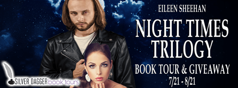 banner - night times trilogy - eileen sheehan