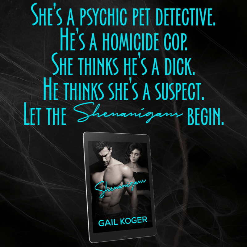 1 shenanigans - gail koger - teaser 1