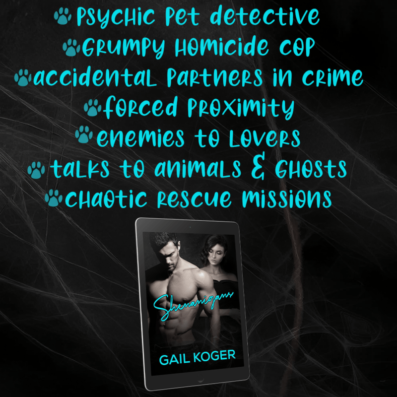 1 shenanigans - gail koger - teaser 2