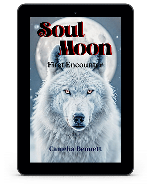 2 soul moon - first encounter - camelia bennett