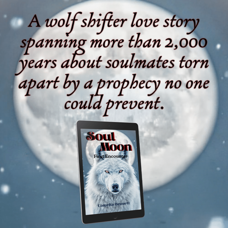 2 soul moon - first encounter - camelia bennett - teaser 1