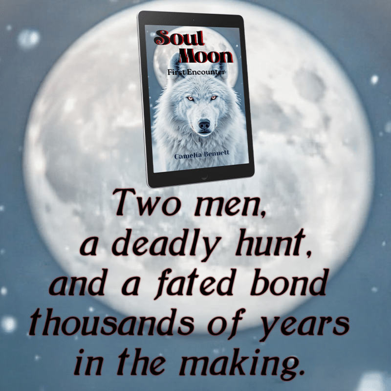 2 soul moon - first encounter - camelia bennett - teaser 2