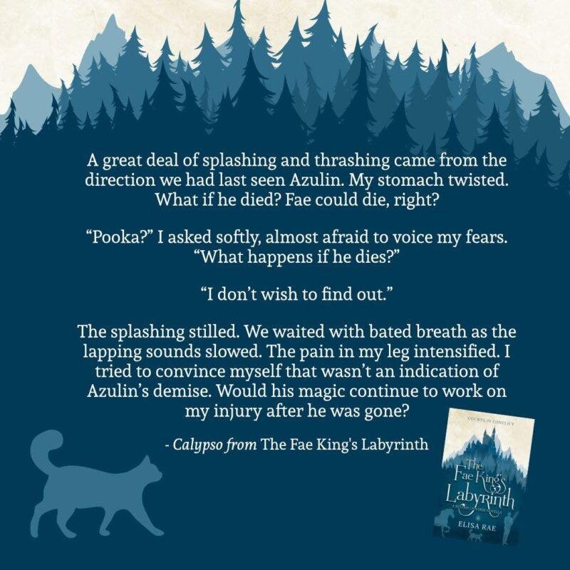 2 the fae kings labyrinth - courts in conflict- elisa rae teaser 3