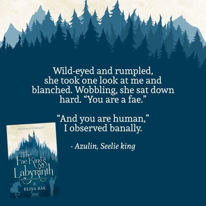 2 the fae kings labyrinth - courts in conflict- elisa rae teaser 4