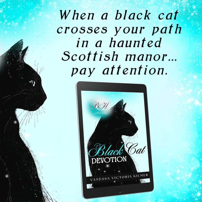 3 black cat devotion - ghosts of border house - vanessa victoria kilmer - teaser 1